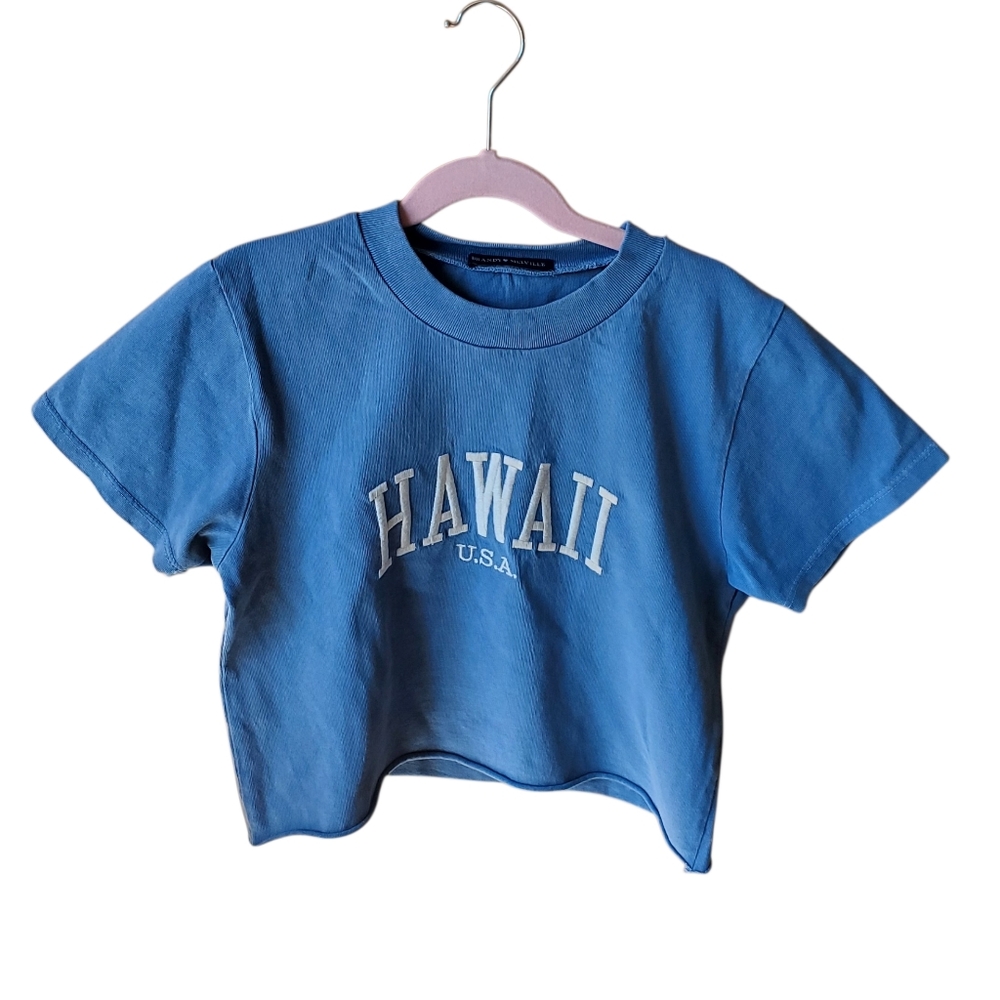 Brandy Melville Hawaii Embroidered Blue Short Sleeve Tee